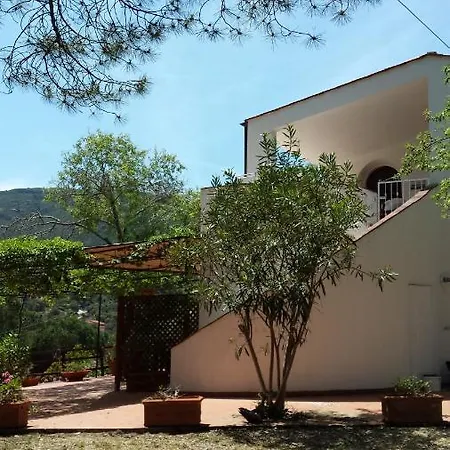 Appartamento Casa Conchiglia *